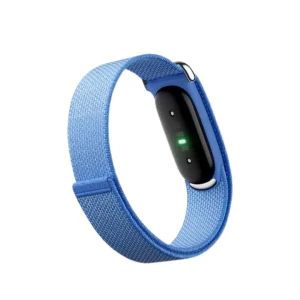 GOOGLE FITBIT Air